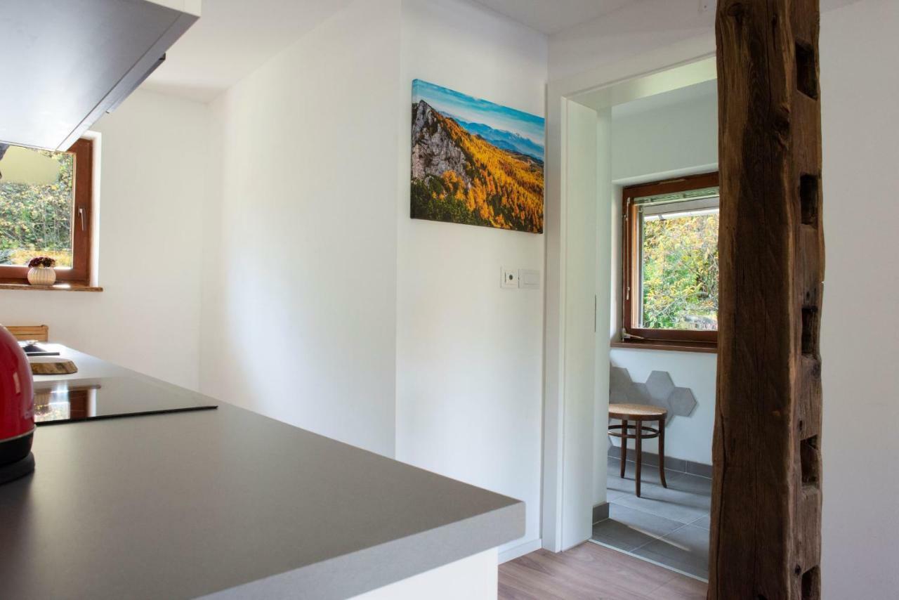 Woodywood House Bohinj Hébergement de vacances Polje
